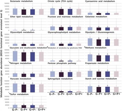 The reciprocal changes in dominant species with complete metabolic functions explain the decoupling phenomenon of microbial taxonomic and functional composition in a grassland